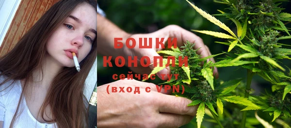 дживик Верхний Тагил